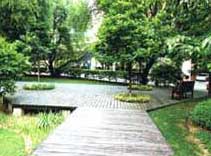 小区绿化