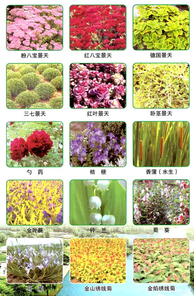丹东市隆辉城市园林绿化有限公司
