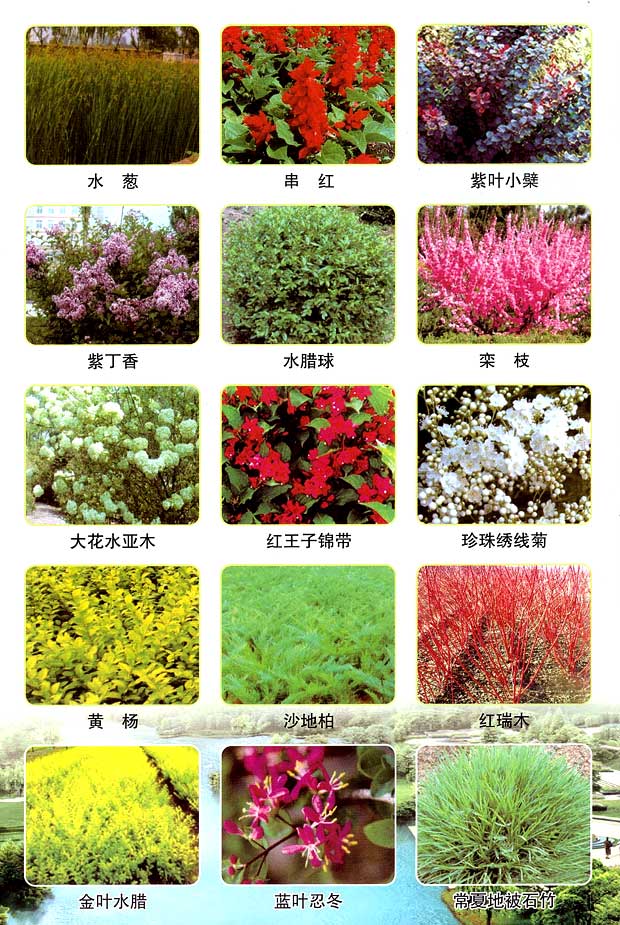 丹东市隆辉城市园林绿化有限公司