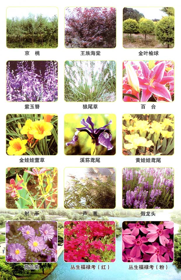 丹东市隆辉城市园林绿化有限公司