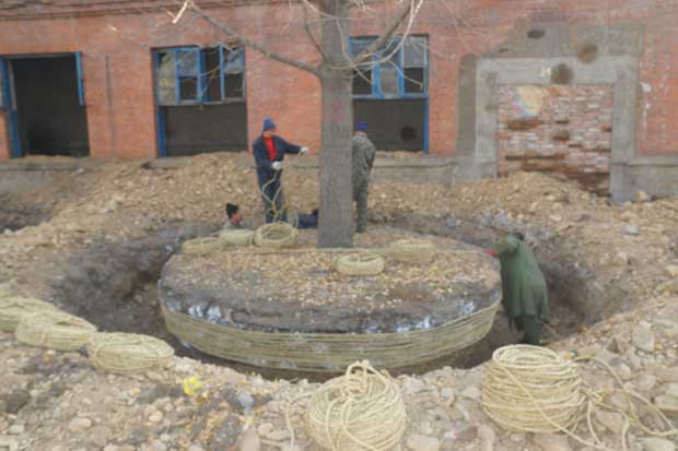 丹东市隆辉城市园林绿化有限公司