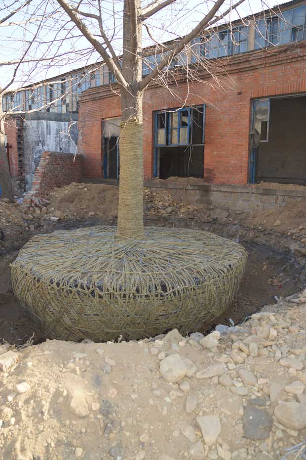 丹东市隆辉城市园林绿化有限公司