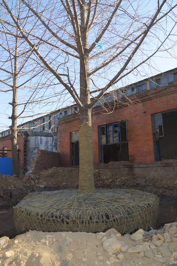 丹东市隆辉城市园林绿化有限公司