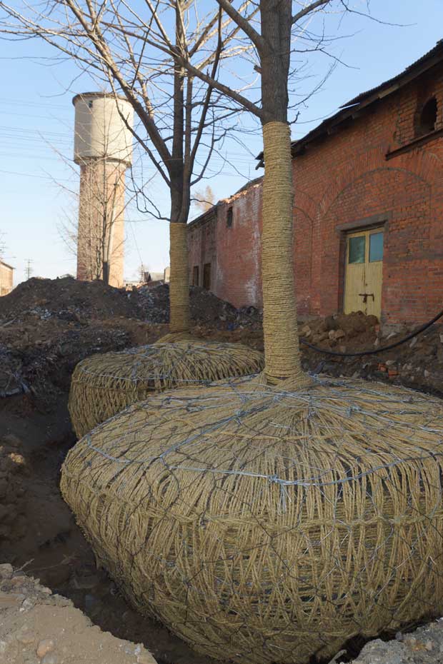 丹东市隆辉城市园林绿化有限公司