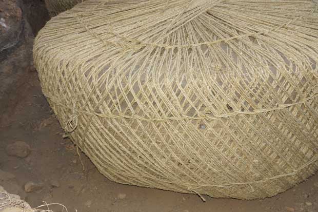 丹东市隆辉城市园林绿化有限公司