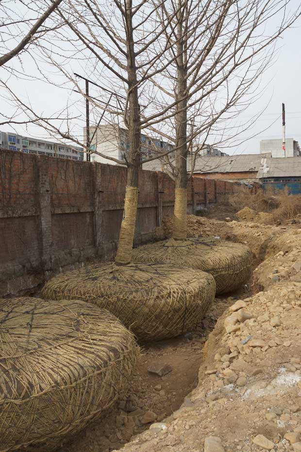 丹东市隆辉城市园林绿化有限公司