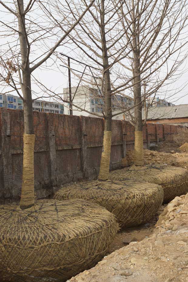 丹东市隆辉城市园林绿化有限公司