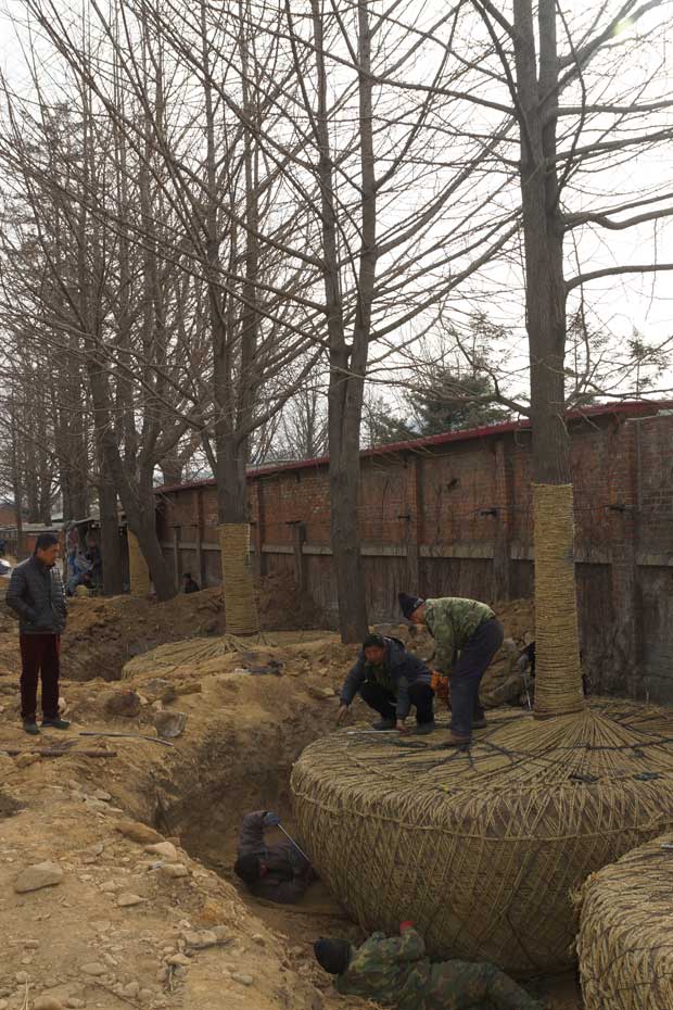 丹东市隆辉城市园林绿化有限公司