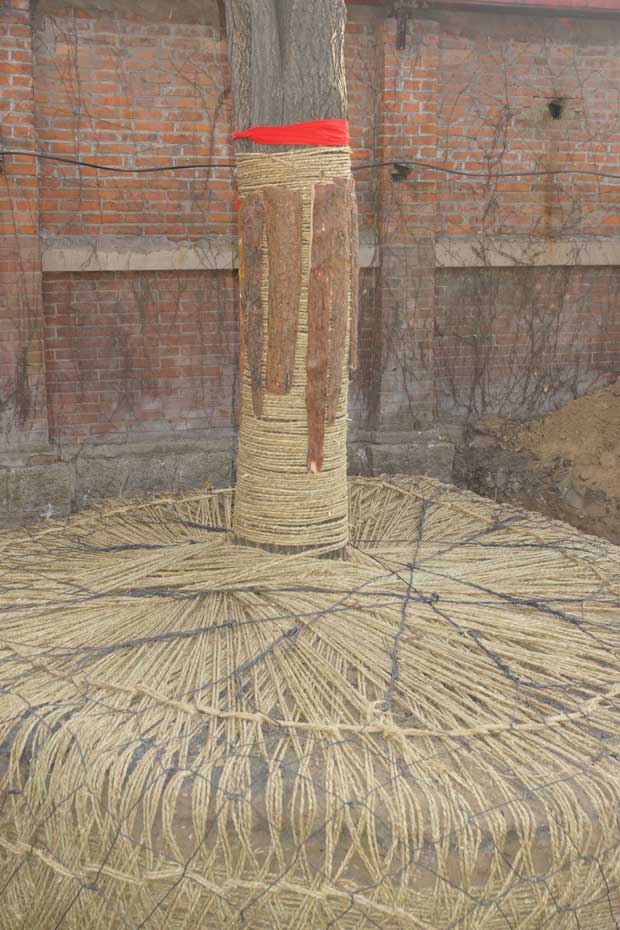 丹东市隆辉城市园林绿化有限公司