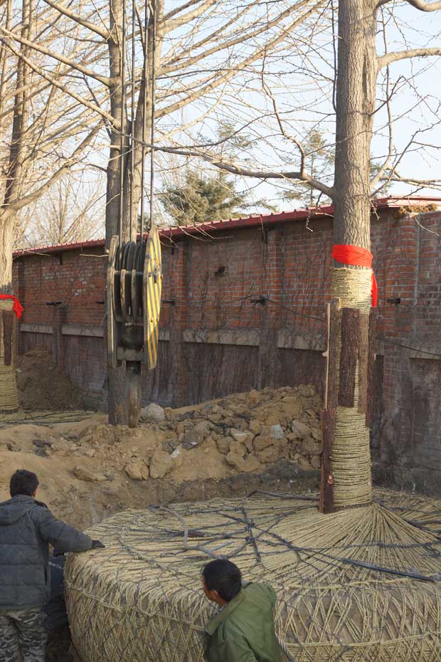 丹东市隆辉城市园林绿化有限公司