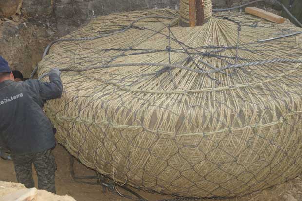 丹东市隆辉城市园林绿化有限公司