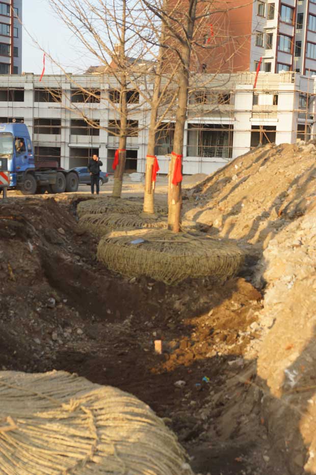 丹东市隆辉城市园林绿化有限公司