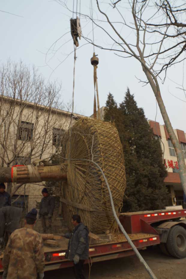 丹东市隆辉城市园林绿化有限公司