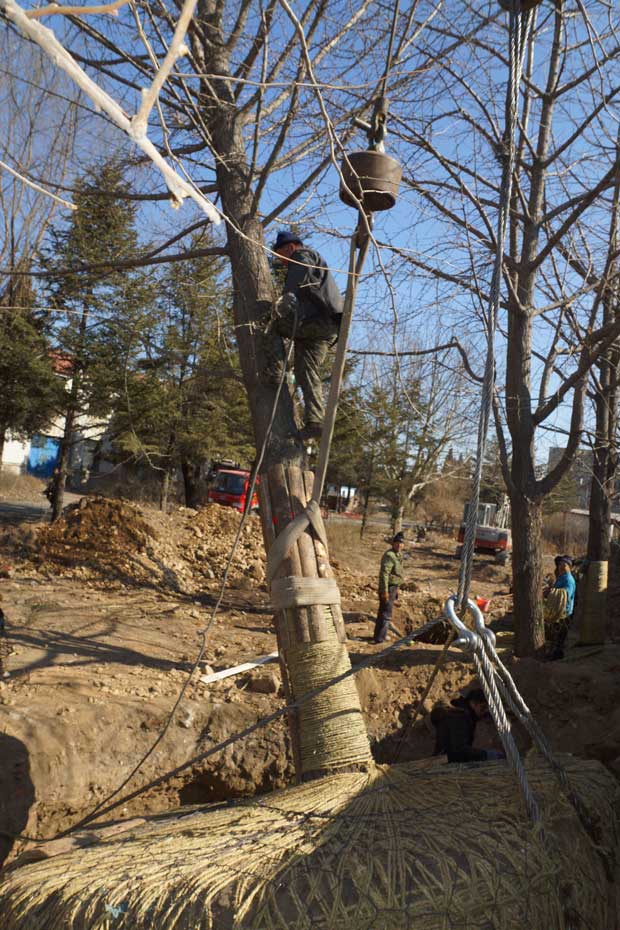 丹东市隆辉城市园林绿化有限公司