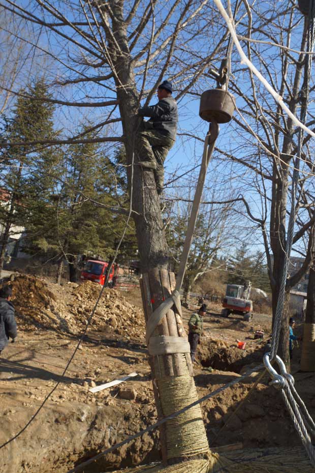 丹东市隆辉城市园林绿化有限公司