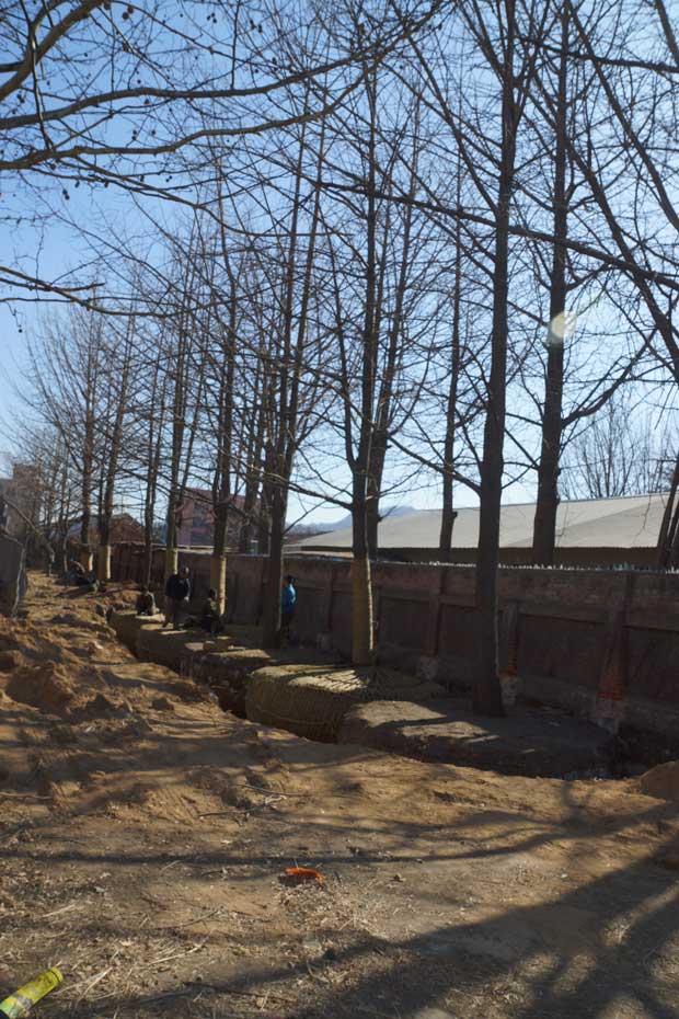 丹东市隆辉城市园林绿化有限公司