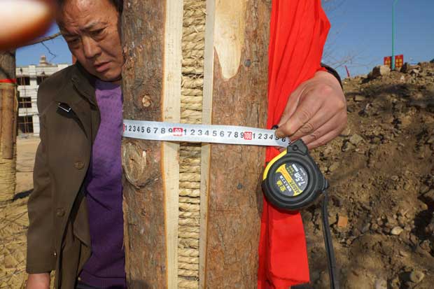 丹东市隆辉城市园林绿化有限公司