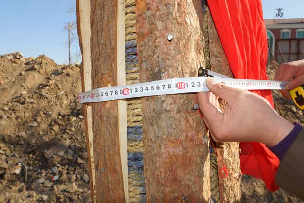 丹东市隆辉城市园林绿化有限公司