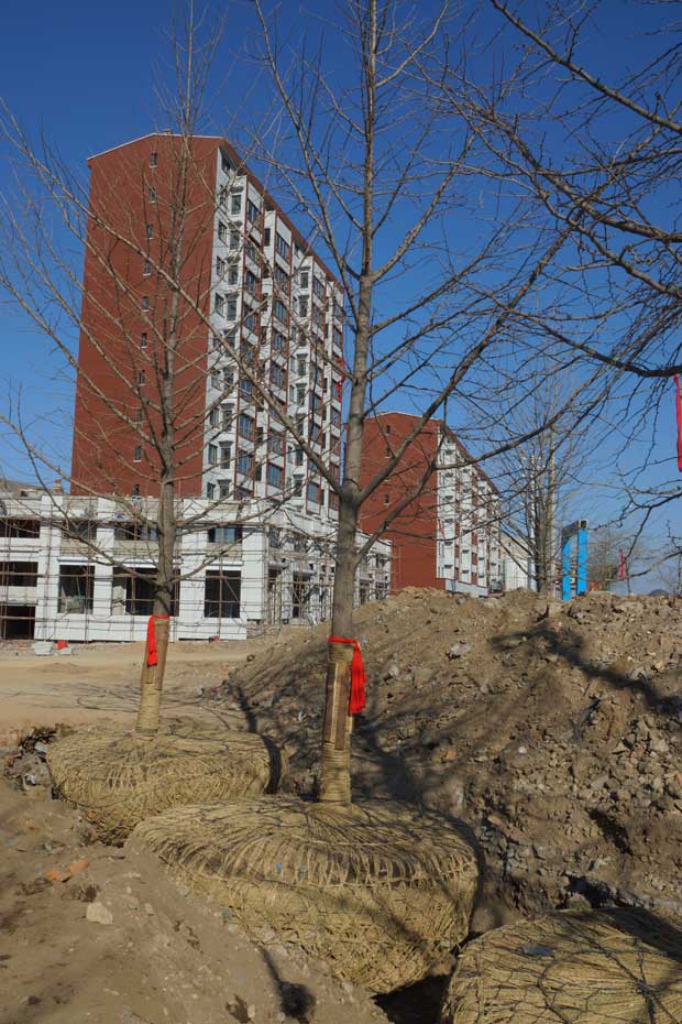 丹东市隆辉城市园林绿化有限公司