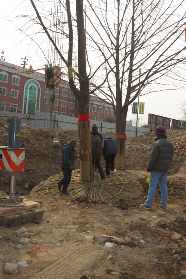 丹东市隆辉城市园林绿化有限公司