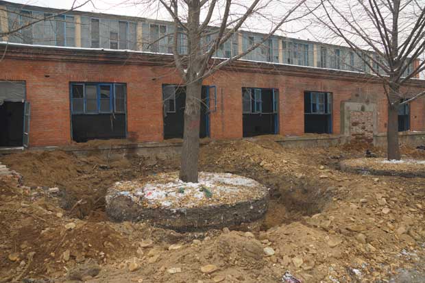 丹东市隆辉城市园林绿化有限公司