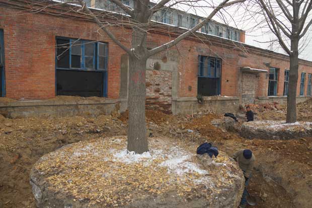 丹东市隆辉城市园林绿化有限公司