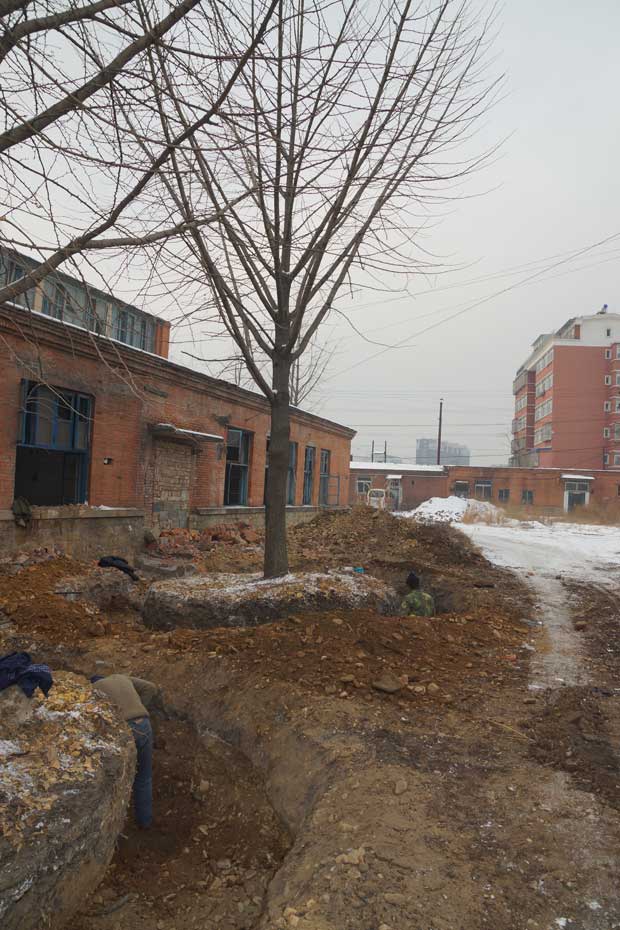 丹东市隆辉城市园林绿化有限公司