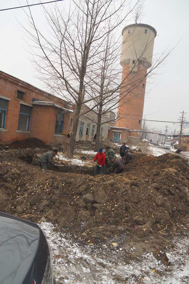 丹东市隆辉城市园林绿化有限公司